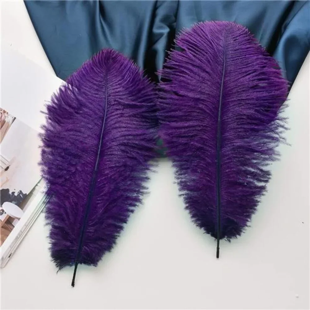 Purple Ostrich Feathers Bulk -24Pcs 10-12inch Feathers for Vase,Party Mardi Gras